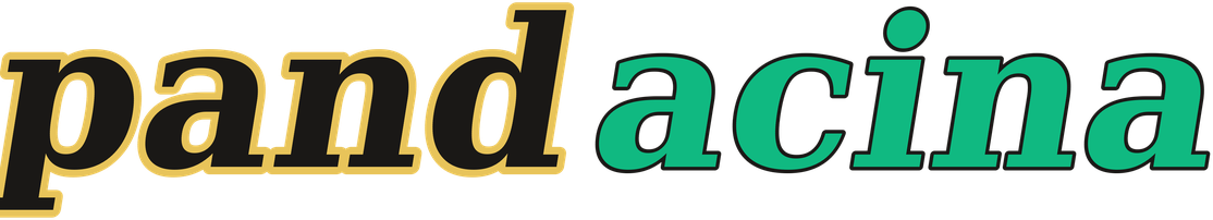 pandacina logo